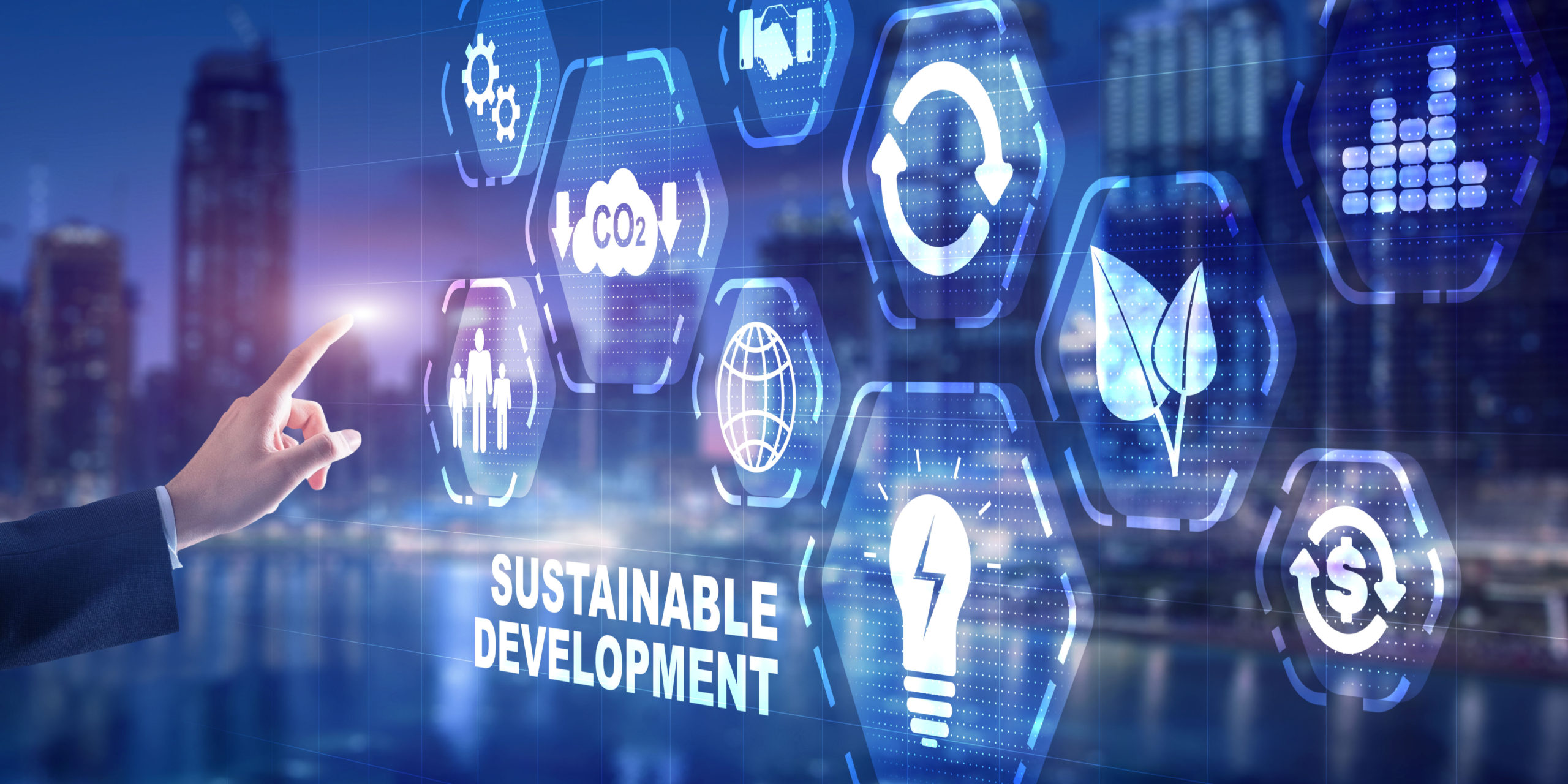 Ethical AI for Sustainable Development
